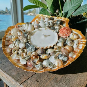 Świecznik z muszli przegrzebka irlandzkiego, ręcznie wykonany element centralny w stylu marynistycznym o zapachu wanilii, wystrój domu w stylu nadmorskim, wyjątkowa pamiątka z muszli na Dzień Matki