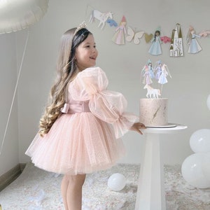 Luna Tulle Dress/ Birthday's outfit/Birthday's party dress/Girls dresses with tulle/tutu dress for girl/wedding dress for girl/powder tutu zdjęcie 1