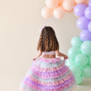 Colorful Tutu Skirt and Crop/Long tutu skirt for little girl/tutu skirt for girls/birthday tutu skirt for girl/Birthday's Outfit/crop top image 3