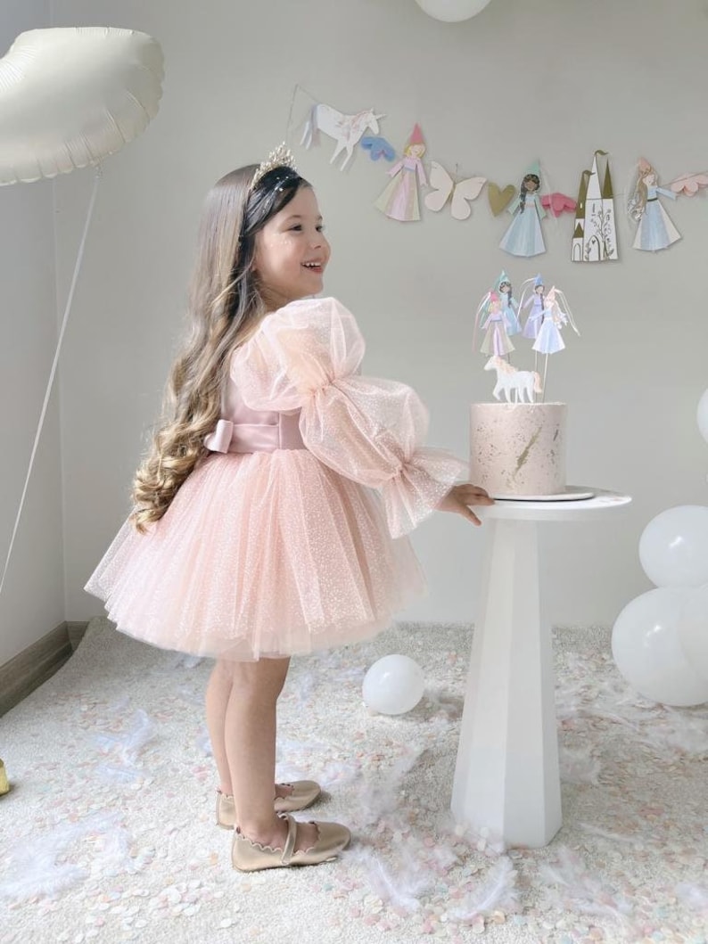 Luna Tulle Dress/ Birthday's outfit/Birthday's party dress/Girls dresses with tulle/tutu dress for girl/wedding dress for girl/powder tutu zdjęcie 1