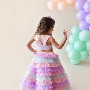 Colorful Tutu Skirt and Crop/Long tutu skirt for little girl/tutu skirt for girls/birthday tutu skirt for girl/Birthday's Outfit/crop top image 4