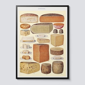 Vintage cheese illustration print, food & drink wall art decor, ideal kitchen gift
