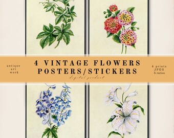 Set of 4 Vintage Flowers| Botanical Wall Art | Vintage Print Set Collection | Wildflowers, Light Academia Decor | DOWNLOADABLE