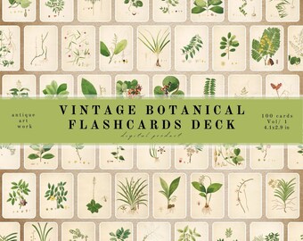 Pocket Size Vintage Botany Flash Cards Deck Vol. 1 | Cards Collection | Stamps and Journaling Stickers| "Plants of the Coromadel Vol 1"