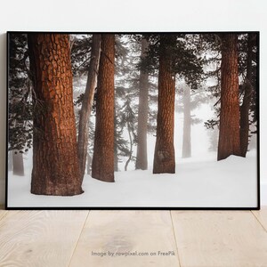 Sequoia National Park Wall Art | California Home Decor | Winter Snow Photography Prints | National Park Landscape Photo Wall Art