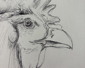 Dibujo de rana a pluma, obra de arte original, regalo para amantes de las ranas, dibujado a mano, boceto