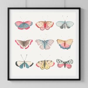 VINTAGE BUTTERFLY PRINT, High Quality Print, Old Nature Print Butterfly Art, Boho Butterflies, Butterfly Wall Art, Insect Art