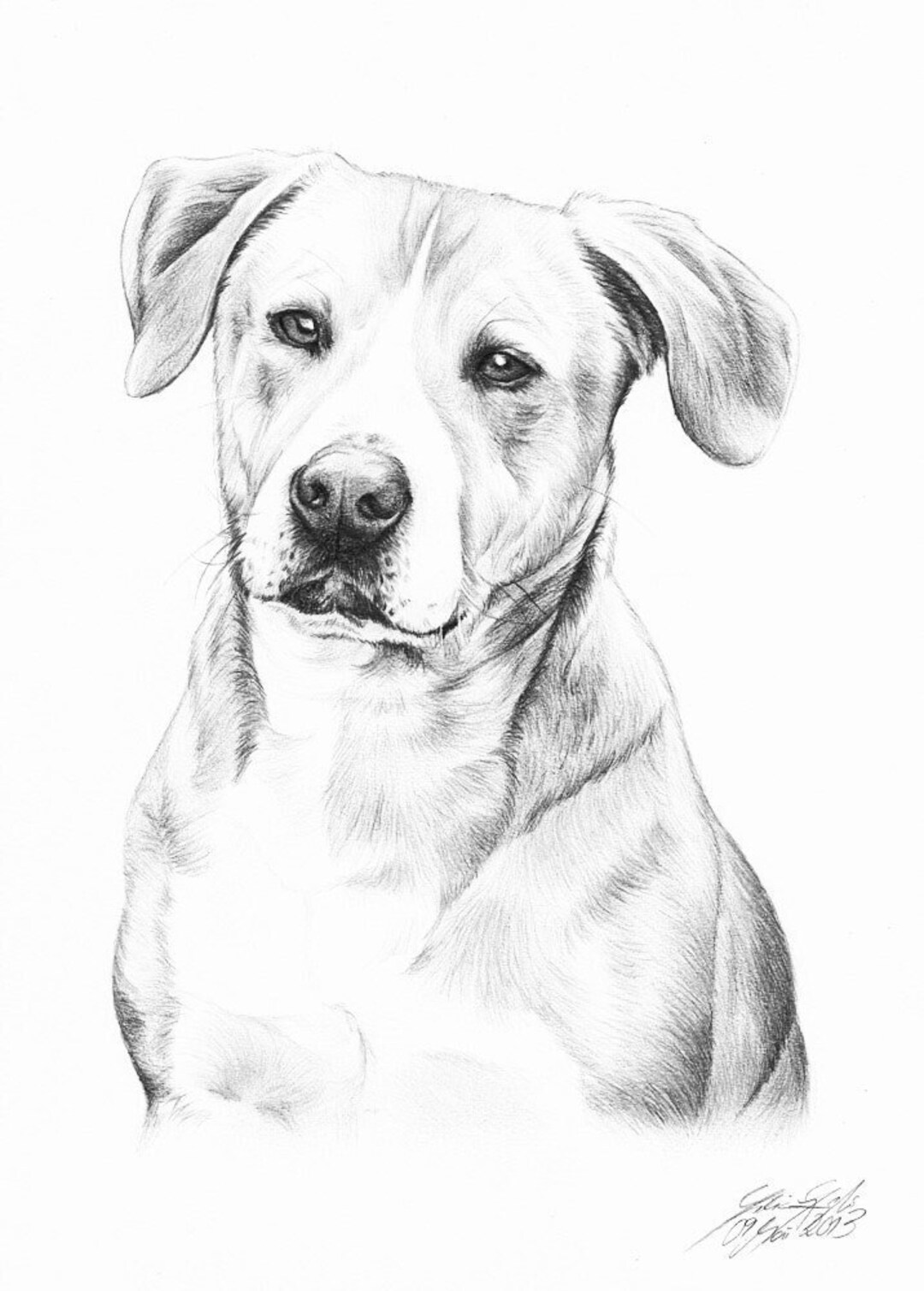 Handdrawn Image/portrait of Animal or Human in Pencil Etsy