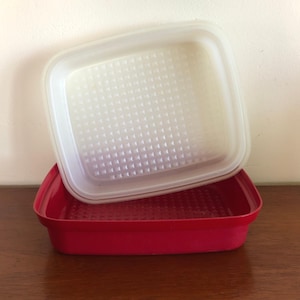 以下が含まれることがあります： 赤い長方形のプラスチック製食品保存容器と、半透明の白い蓋のセット。容器の底面と蓋の内側には、隆起したグリッドパターンが施されており、表面に質感のある仕上がりとなっています。キッチン用品として使用される収納アイテムです。