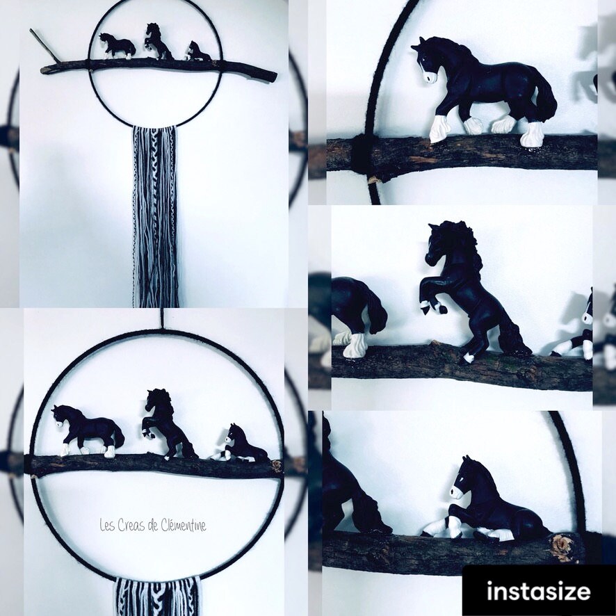 Attrape-Rêve et Chevaux