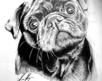 Desenho a lápis de Pug em moldura