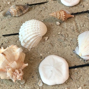 Genuine Seashell Bobby Pins, Real Shells, Beach Pins, Vacation, Tropical, Hair Clip