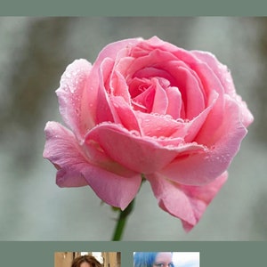 6 oils to heal a broken heart romantic remedy valentine’s day gift for yourself