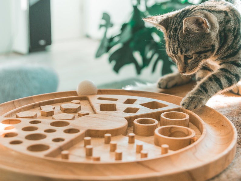 May include: A wooden puzzle toy with a variety of shapes and holes for a small white ball to be rolled through. A tabby cat is looking at the toy.