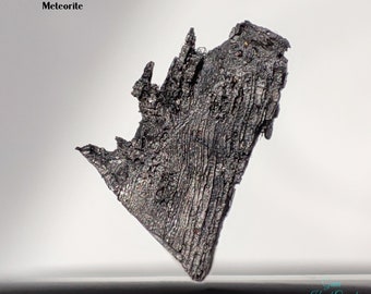 ムオニオナルスタ隕石、49g 宇宙鉄標本、天文学ギフト D6835 - Etsy 日本
