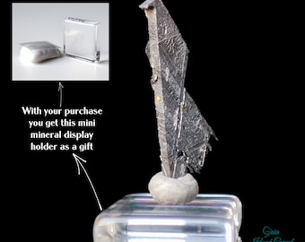 ムオニオナルスタ隕石部分スライス D5641 - Etsy 日本