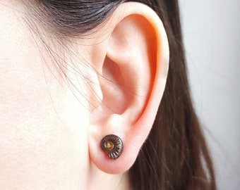 Natural ammonite fossil stud earrings, ammonite shell and 925 Sterling Silver earrings, jurassic jewellery gift for nature and fossil lovers