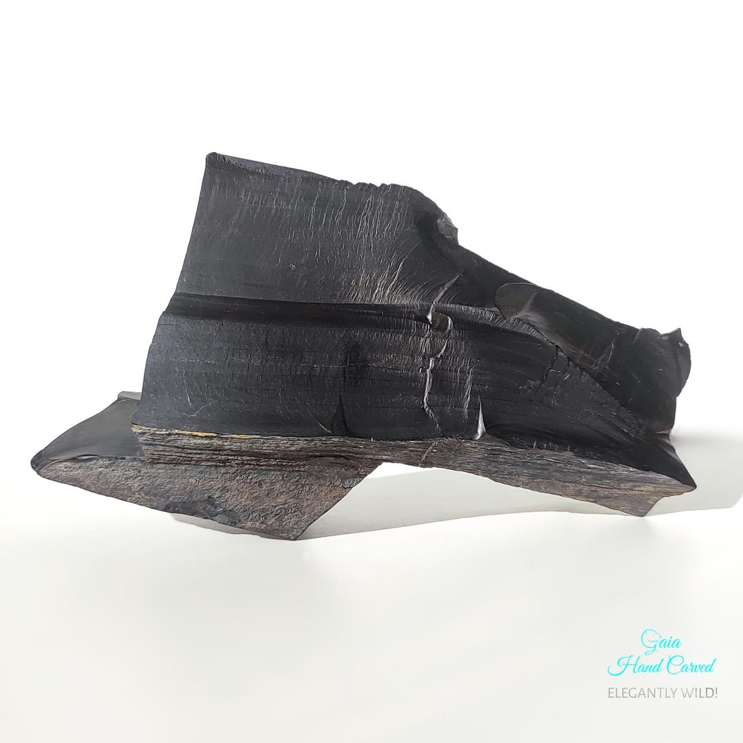 木炭化石（木化石）‼️とても珍しい‼️ 亜炭、天然亜炭の木