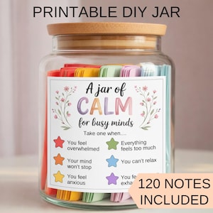 Anxiety Relief Jar Printable, Overwhelmed & Stress Support, 120 Calming Notes, Self Care Gift