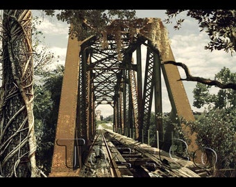 Abandoned Bridge | Digital Print