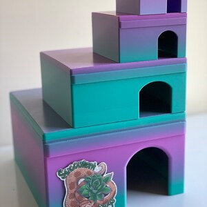 Op de afbeelding: Een meerlaags reptielenverblijf gemaakt van 3D-geprint plastic. Het verblijf is een gradi&euml;nt van paars en groen en heeft op elk niveau een afgeronde boogopening. Het verblijf heeft een sticker op het onderste niveau met de tekst "Succulent Hags".