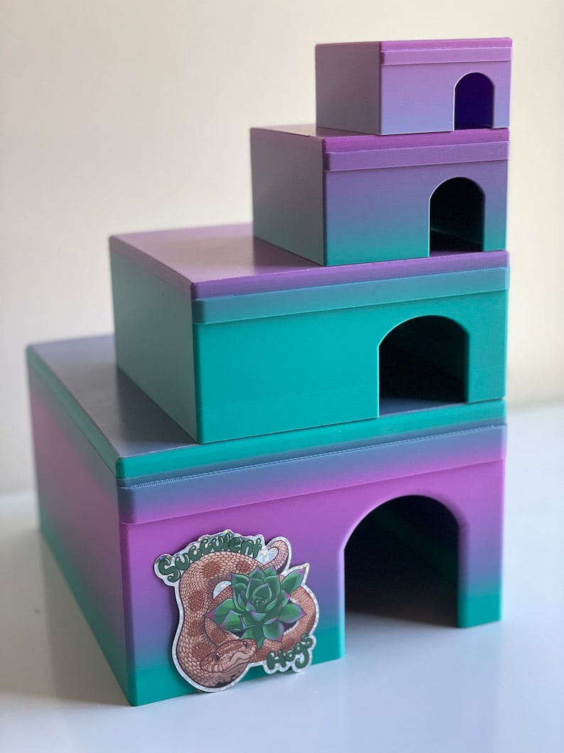 Op de afbeelding: Een meerlaags reptielenverblijf gemaakt van 3D-geprint plastic. Het verblijf is een gradi&euml;nt van paars en groen en heeft op elk niveau een afgeronde boogopening. Het verblijf heeft een sticker op het onderste niveau met de tekst "Succulent Hags".