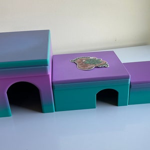 Op de afbeelding: Vier kleurrijke, meerlagige, plastic huizen met gewelfde ingangen, gerangschikt in aflopende volgorde. Het grootste huis heeft een paarse, turquoise en lichtblauwe gradi&euml;nt. Het op een na grootste huis heeft een paarse bovenkant en een turquoise onderkant. Het derde huis heeft een paarse bovenkant en een turquoise onderkant. Het kleinste huis is paars.