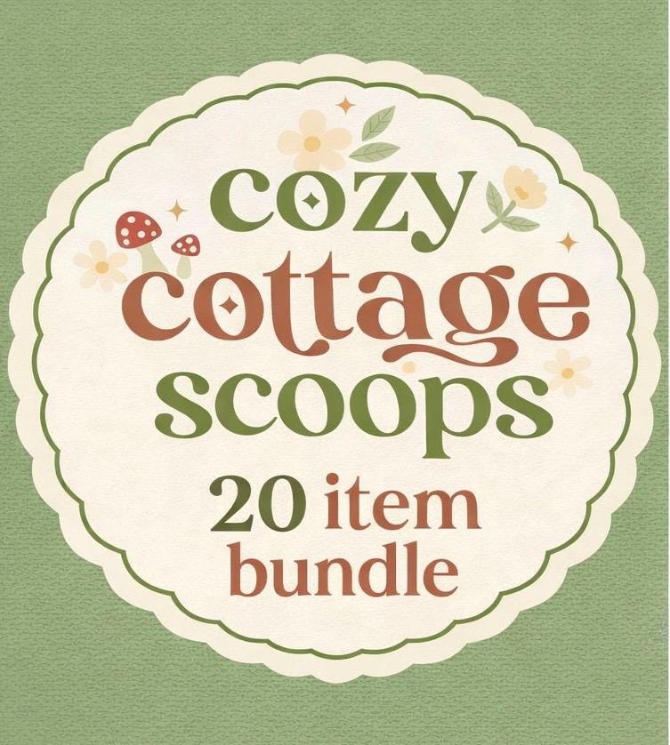 20 Item Cottagecore Mystery Scoop Box, Cozy Bookish Gift Bundle, Cozy ...