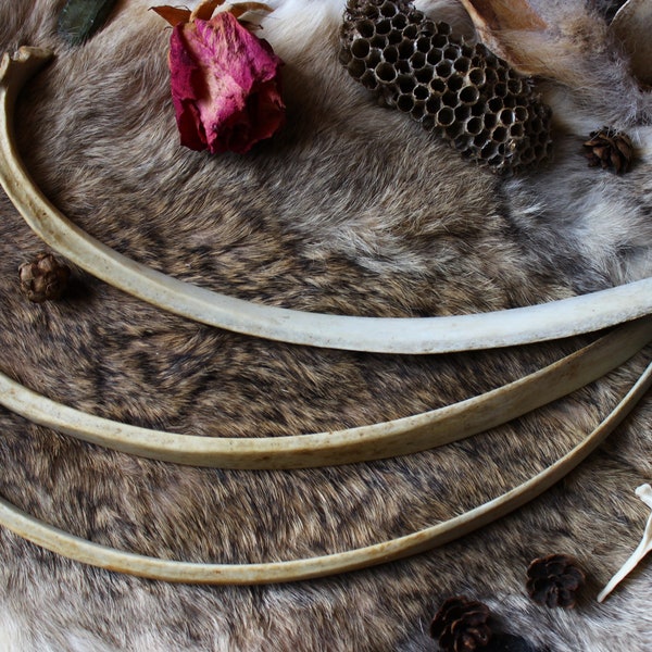 Deer Bone - Etsy