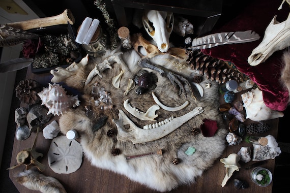 Spooky Collection