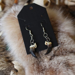 Real Coyote Claw Earrings | Coyote Earrings
