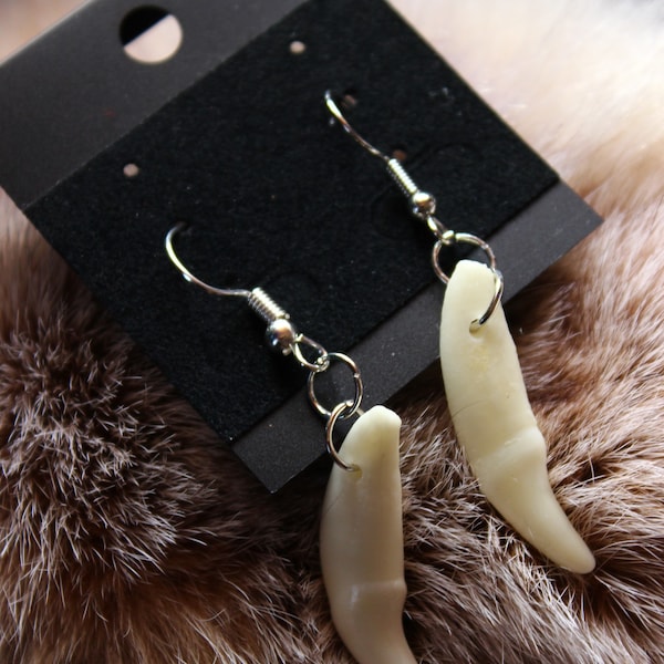 Real Coyote Fang Earrings | ForestCore | Fangs |