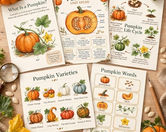 Pumpkin Unit Study Printable | Pumpkin Life Cycle, Parts of a Pumpkin, Pumpkin Varieties & Vocabulary | Fall Homeschool Learning