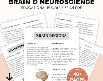 Brain & Neuroscience Therapy Bundle – Comprehensive Psychoeducation Resource