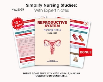 Reproductive System Nursing Notes, Med Surg Reproductive System, Nursing Student Notes, Anatomy and Physiology Notes, Nursing School Guide