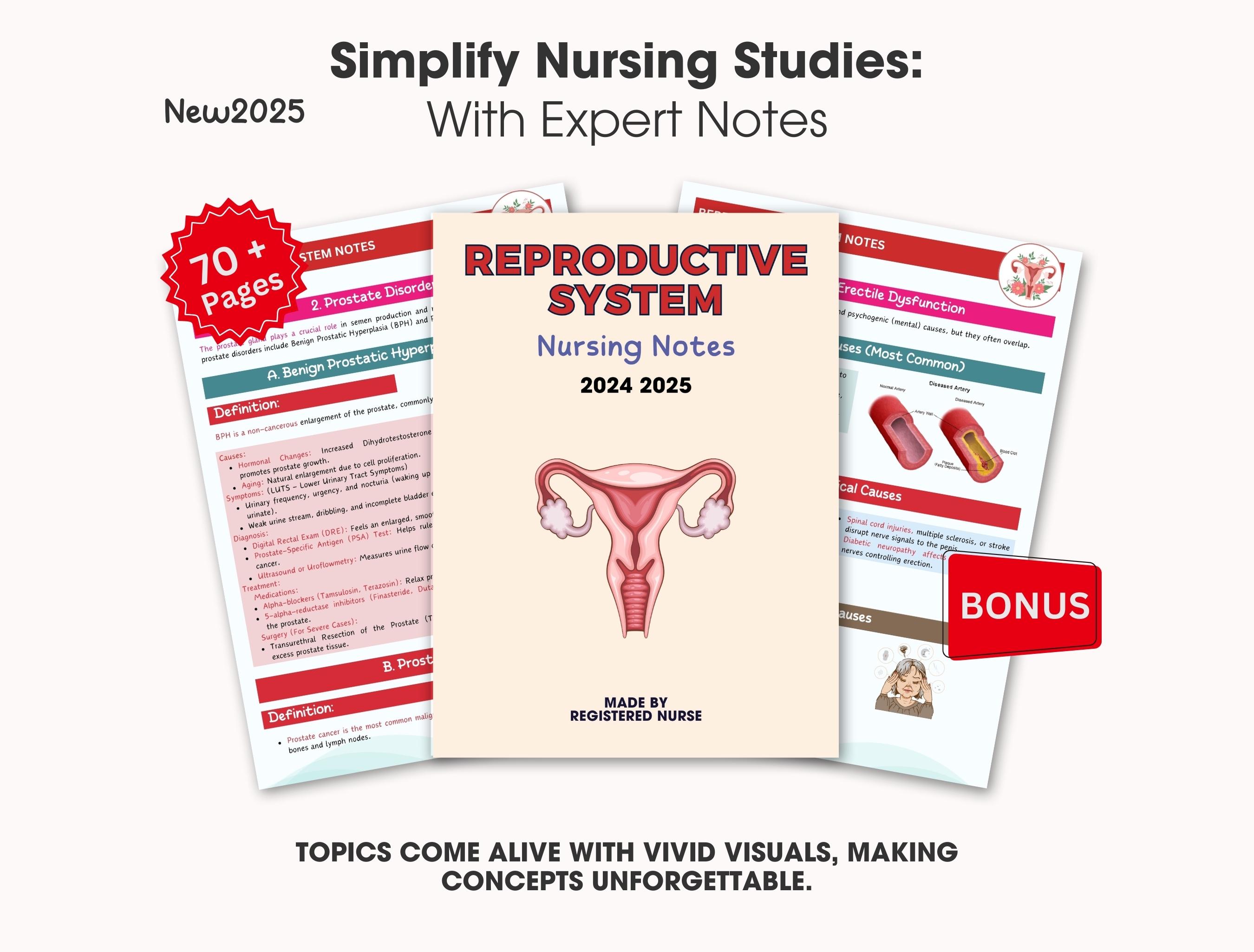 Système de reproduction, notes infirmières, Med Surg, système de reproduction, notes de l'étudiant en soins infirmiers, notes d'anatomie et de physiologie, guide de l'école d'infirmières
