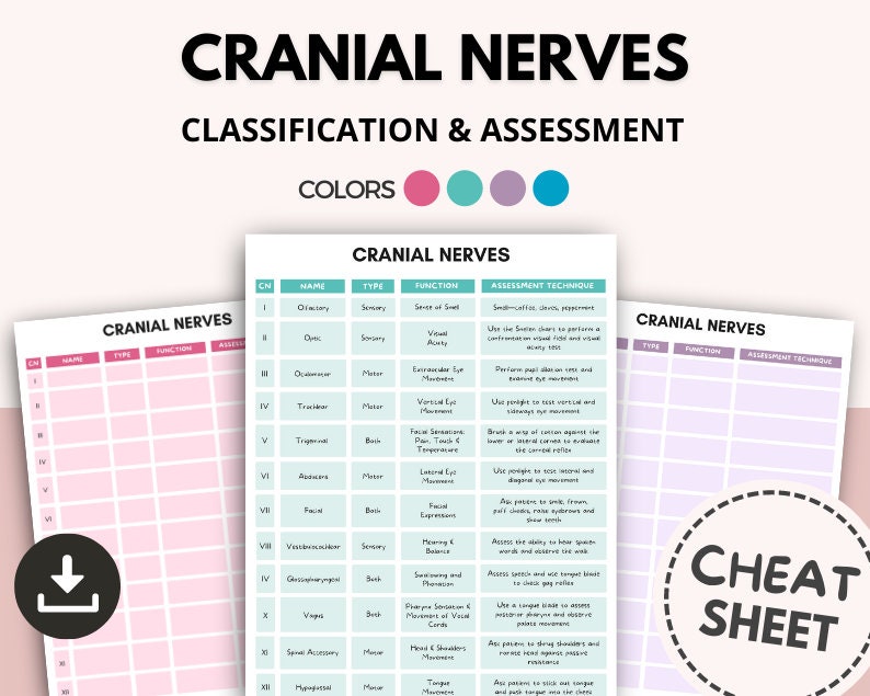Cranial Nerves Cheat Sheet, Nursing Study Template (digital Download ...