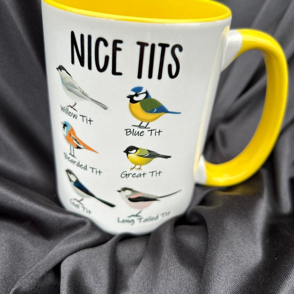 Nice Tits Bird Mug Funny Bird Coffee Mug For Husband Coffee Cup With Funny Sayings, Bird Nerd Mug For Fiance, Pun Mug, Birdwatching Gift