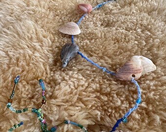 Sea shell hanging
