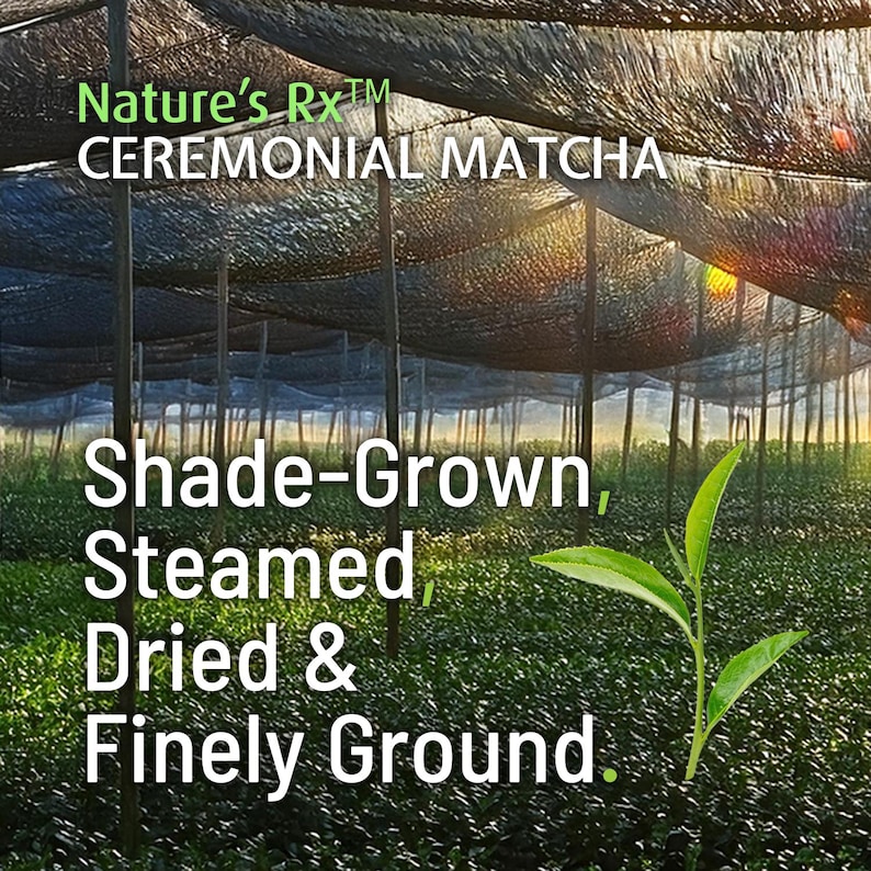 Ceremonial Matcha Green Tea Powder – USDA Organic, Rich Umami Flavor image 8