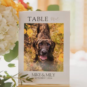 Wedding Table Number Template for Animal Lovers