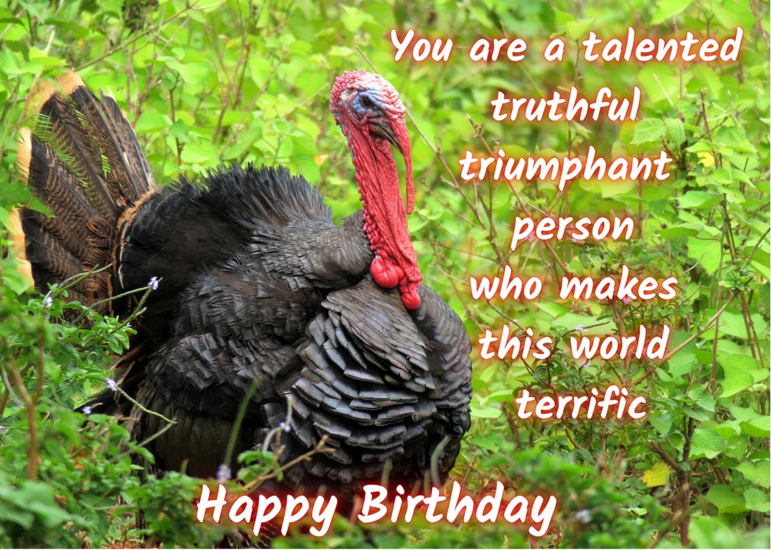Printable Animal Birthday Card Includes Envelope and Flat - Etsy