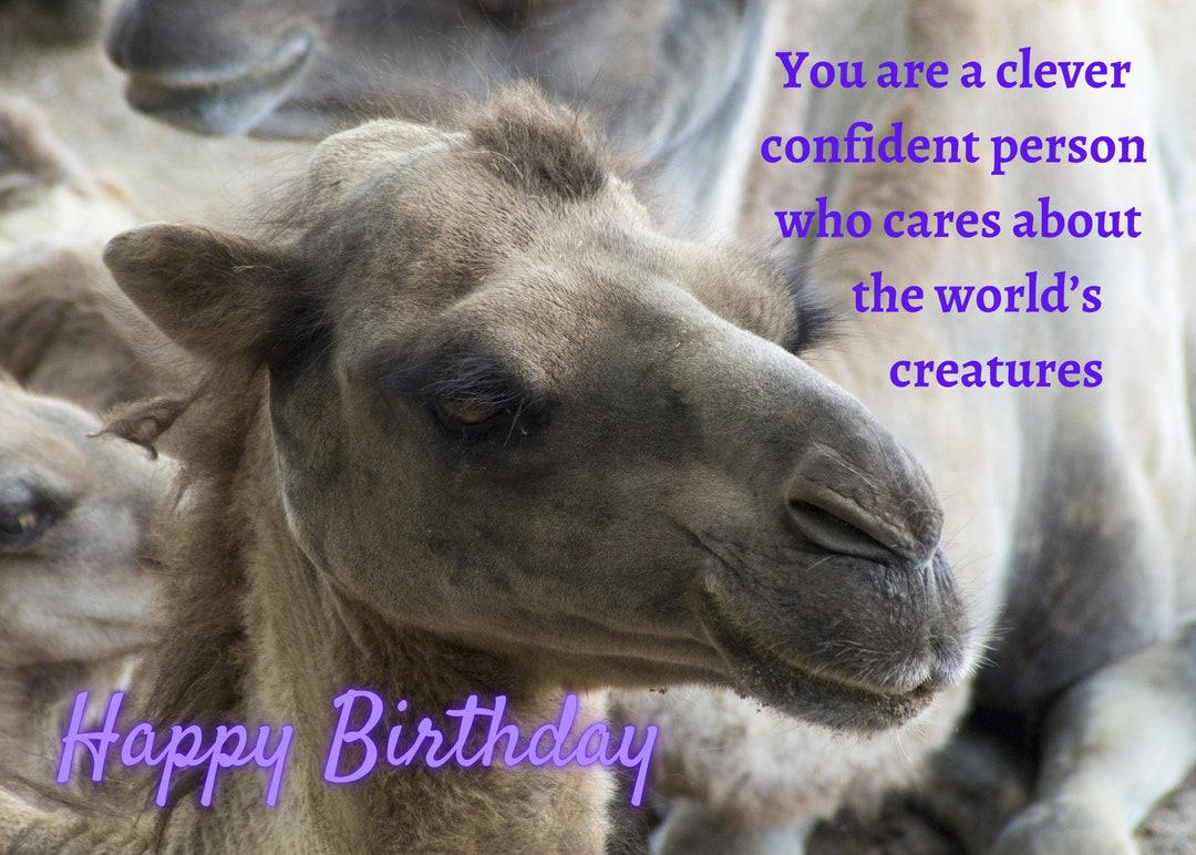 Printable Animal Birthday Card Includes Printable Envelope & - Etsy