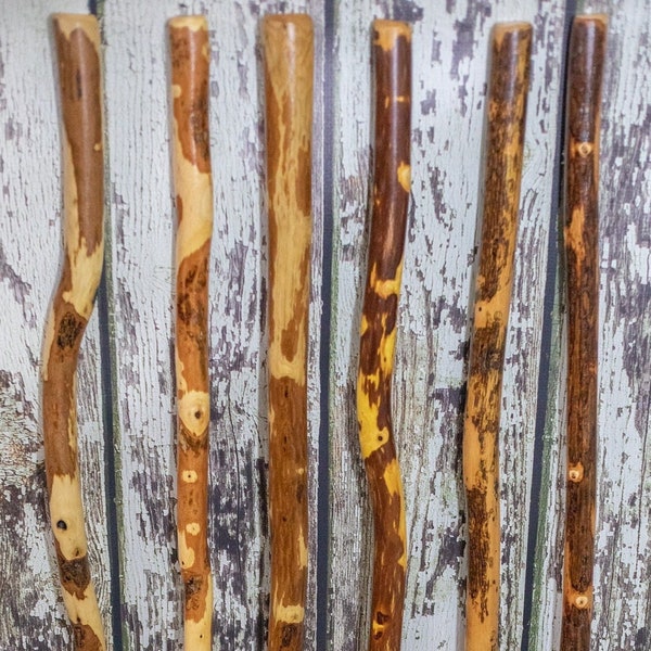Bâton de randonnée en bois dur Ozark, Bâton de marche, Extérieur, Aventure, Dragonne en paracorde en option