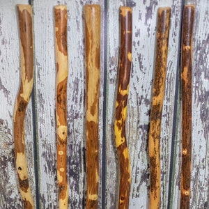 Bundles of Hiking Sticks, 4 Foot Walking Stick Bundles, Hiking Sticks for Groups, 48 inch Walking Sticks.