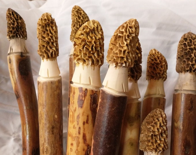 Morel Mushroom Hiking Stick, Hand Carved, Walking Stick, Hardwood, Hand