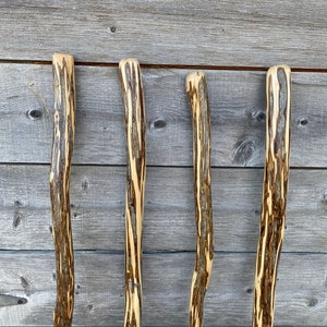 Ironwood Hiking Stick, Ozark Ironwood Walking Stick, Unique Hiking Stick