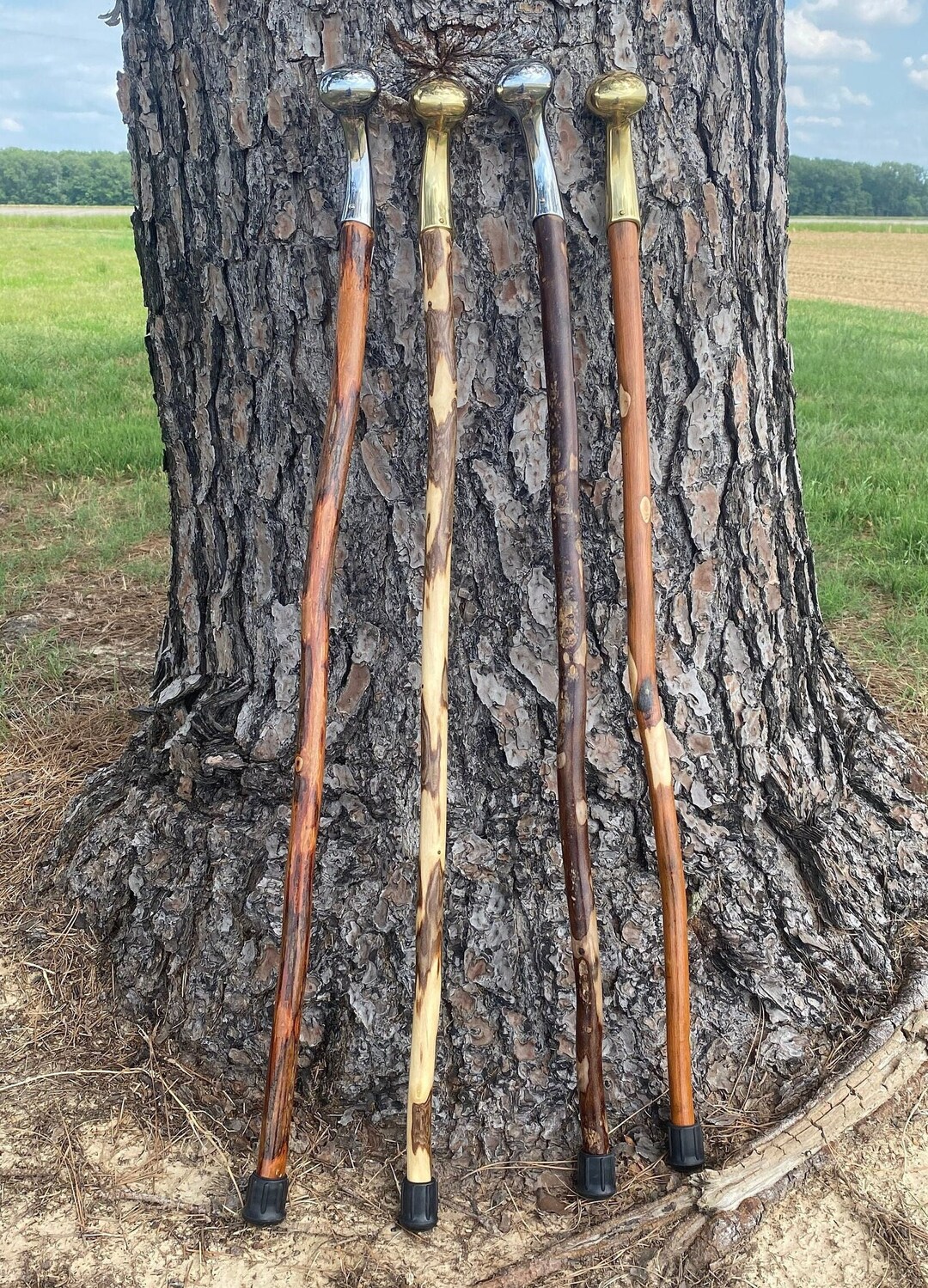 Hames Knob Cane Horse Hames Cane Gentleman's Cane Etsy