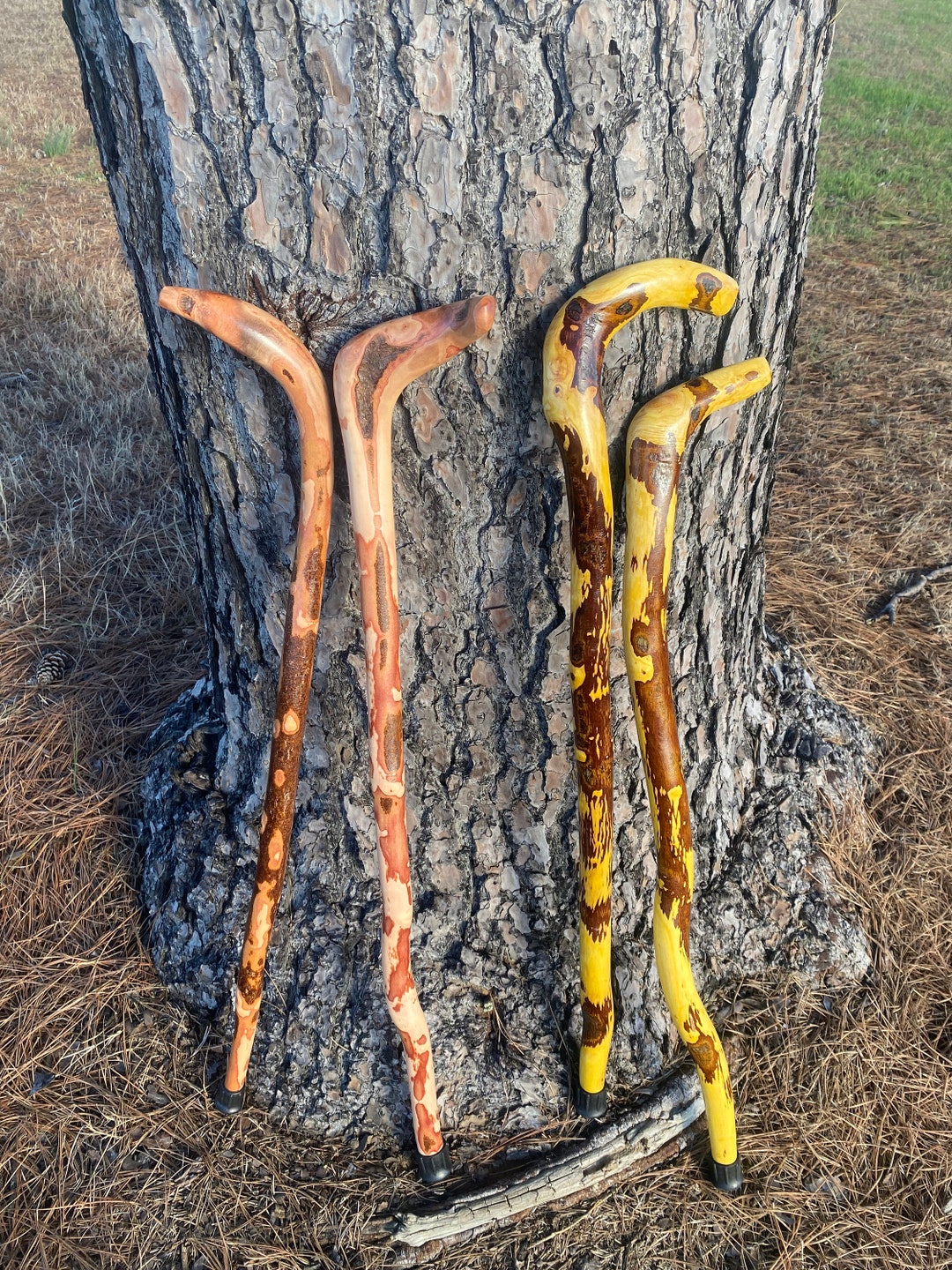 Root Cane, Gentleman's Cane, Walking Cane Etsy