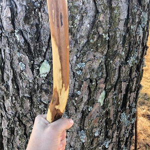 Op de afbeelding: Een gladde, gebogen houten wandelstok met een natuurlijk nerfpatroon met afwisselende lichtbruine en donkerbruine kleurvariaties. Het oppervlak van het hout is gepolijst en vertoont over de gehele lengte organische, onregelmatige markeringen.